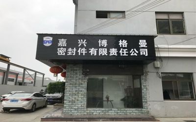 China Jiaxing Burgmann Mechanical Seal Co., Ltd. Jiashan King Kong Branch Perfil da companhia
